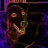 jack_0213